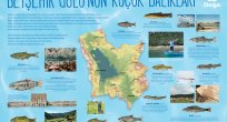 On Beş Balık Türü Dünyada Yalnızca Konya Havzası’nda Yaşıyor