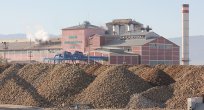 Pancar kooperatifi şeker fabrikasına talip