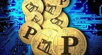 Petro'ya İlk Günden 735 Milyon Dolar Yatırım Yapıldı