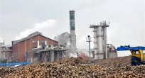 Şeker fabrikalarının özelleştirilmesi için harekete geçildi