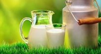 Su ürünleri ve hayvansal mamuller sektörü 2023 hedefini öne çekti