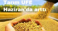 Tarım ÜFE Haziran'da arttı