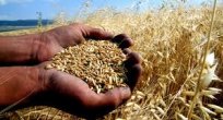 Tarım ÜFE Mart ayında yüzde 0,98 azaldı