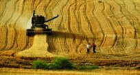 Tarım ÜFE Nisan'da yüzde 2,05 arttı