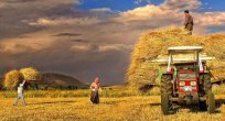 Tarım Ürünleri Üretici Fiyat Endeksi, Eylül 2017