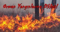 TEMA UYARIYOR. ORMAN YANGINLARINA DİKKAT!