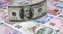 Türk Lirası Dolar karşısında yüzde 43,3 daha değersiz