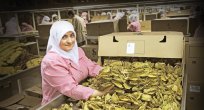 Tütün ihracatçıları kaçak tütün ticaretiyle etkin mücadele istiyor