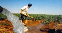 TZOB: Çiftçi, borçların ertelenmesini bekliyor
