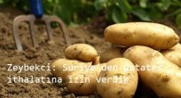 Zeybekci: Suriye’den patates ithalatına izin verdik