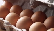 Talep görmüyor, fiyatlar yarı yarıya düştü