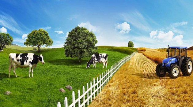 Tarım Kredi gıda fiyatları için devreye giriyor