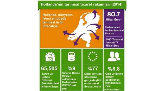 TARIMSAL ÜRETİMDE BİR ÖRNEK: HOLLANDA