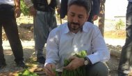 TBMM Başkanvekili Aydın: Tütün, Adıyaman’ın göz nuru, alın teri, ekmek teknesidir