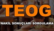 Teog nakil sonuçları
