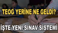 Teog yerine hangi sistem geldi?