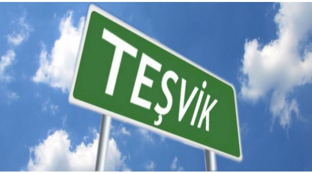 TL751 milyar teşvik nereye gitti?