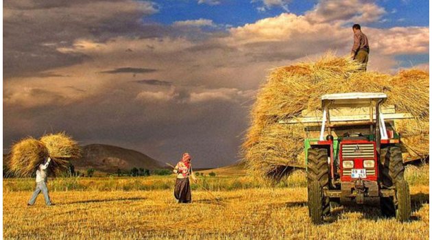 Türkiye tarıma odaklanırsa 10 yıl sonra 1 trilyon dolar ihracatı yakalar