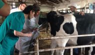 Türkiye'de ilk kez kuruldu! Merkezde bunlar yapılacak…