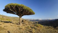 Yemen hükümetinden Sokotra Adası açıklaması
