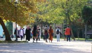 Yeni bir meslek dalı! Ayda 16 bin lira kazanabilirsiniz