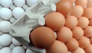 Zehirli yumurta skandalında flaş gelişme!