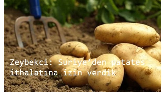 Zeybekci: Suriye’den patates ithalatına izin verdik