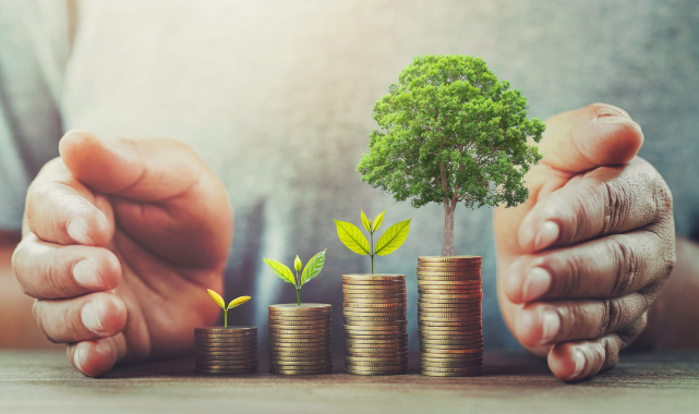 AB Sürdürülebilir Finans Düzenlemeleri ve Türkiye Yatırımları Ekseninde Hukuk ve Ekonomi Analizi